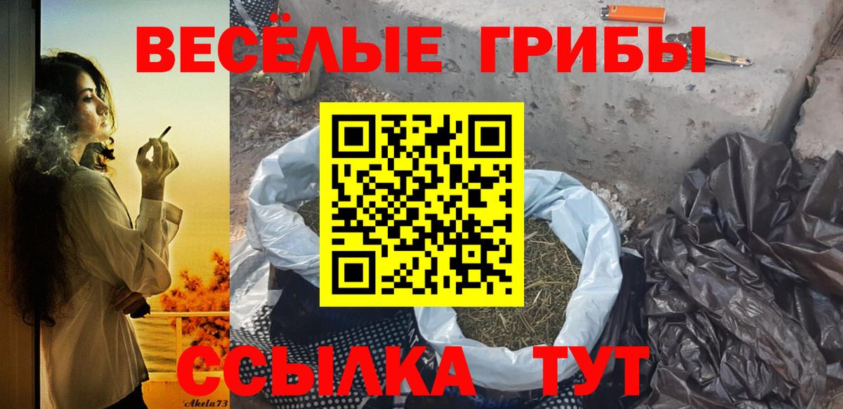 Псилоцибиновые грибы мицелий Канаш